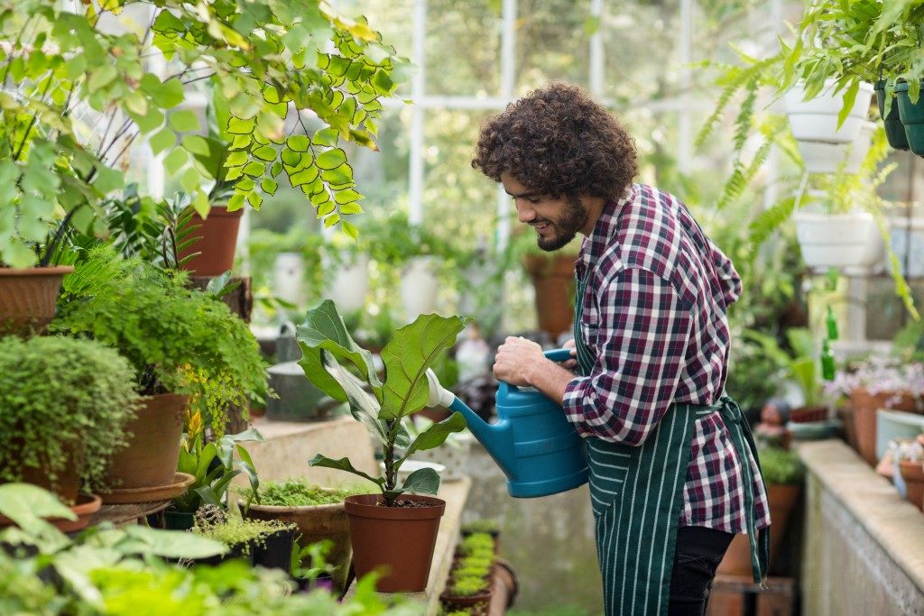 man happily watering plants