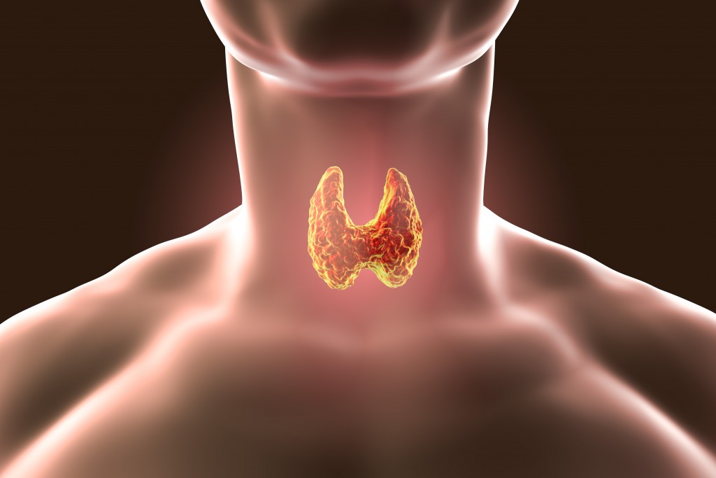 image of a person's thyroid