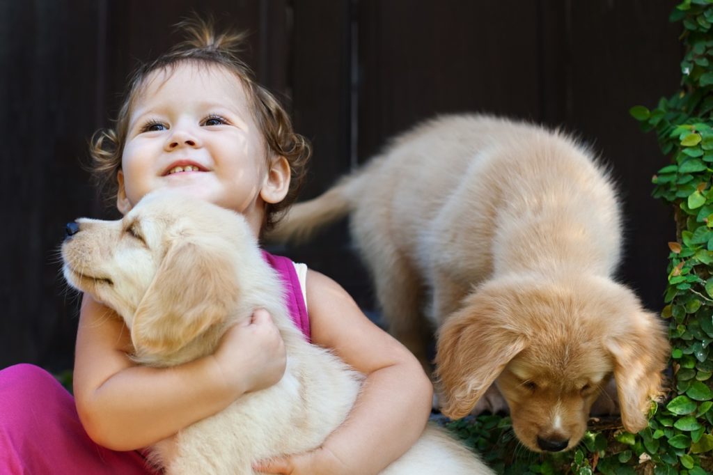 kid with two cute dogs