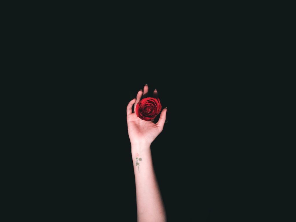 holding a rose